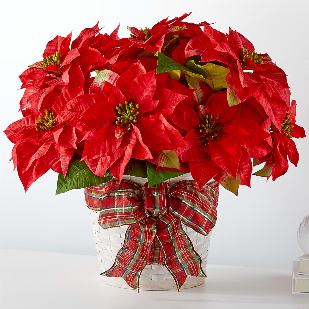 Happiest Holidays Poinsettia – Grass Valley Florist, Grass Valley CA