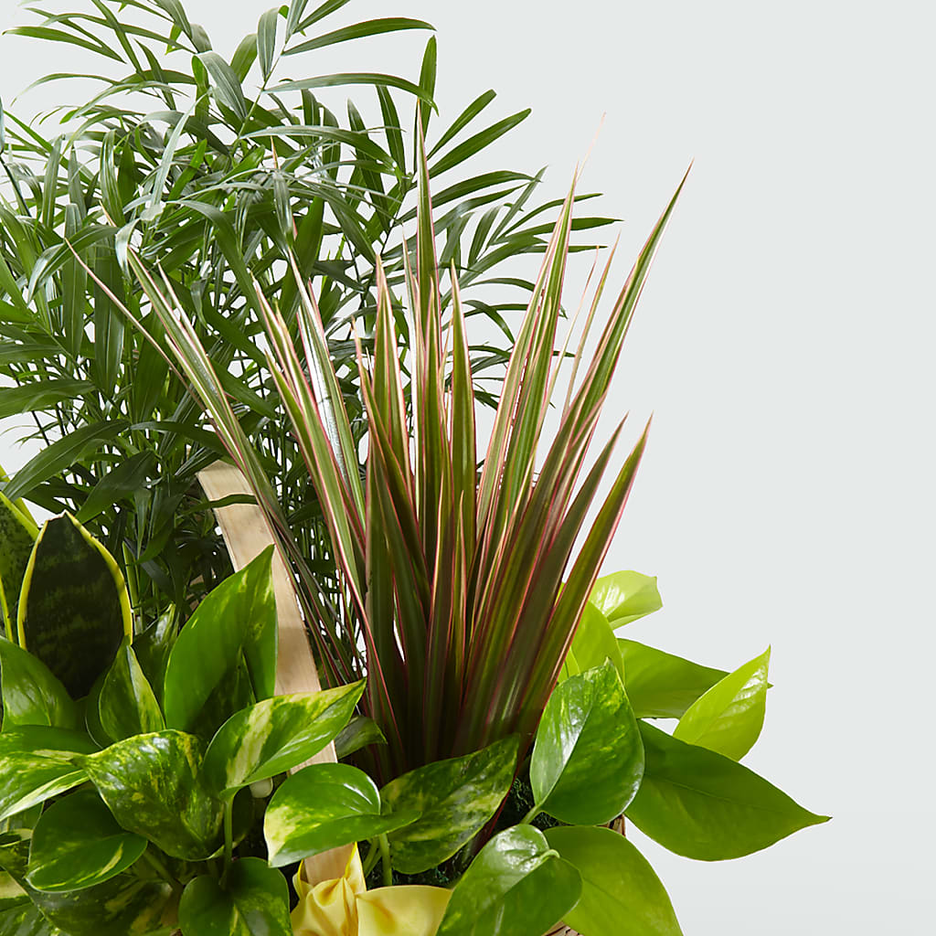 French Garden – Grass Valley Florist, Grass Valley CA