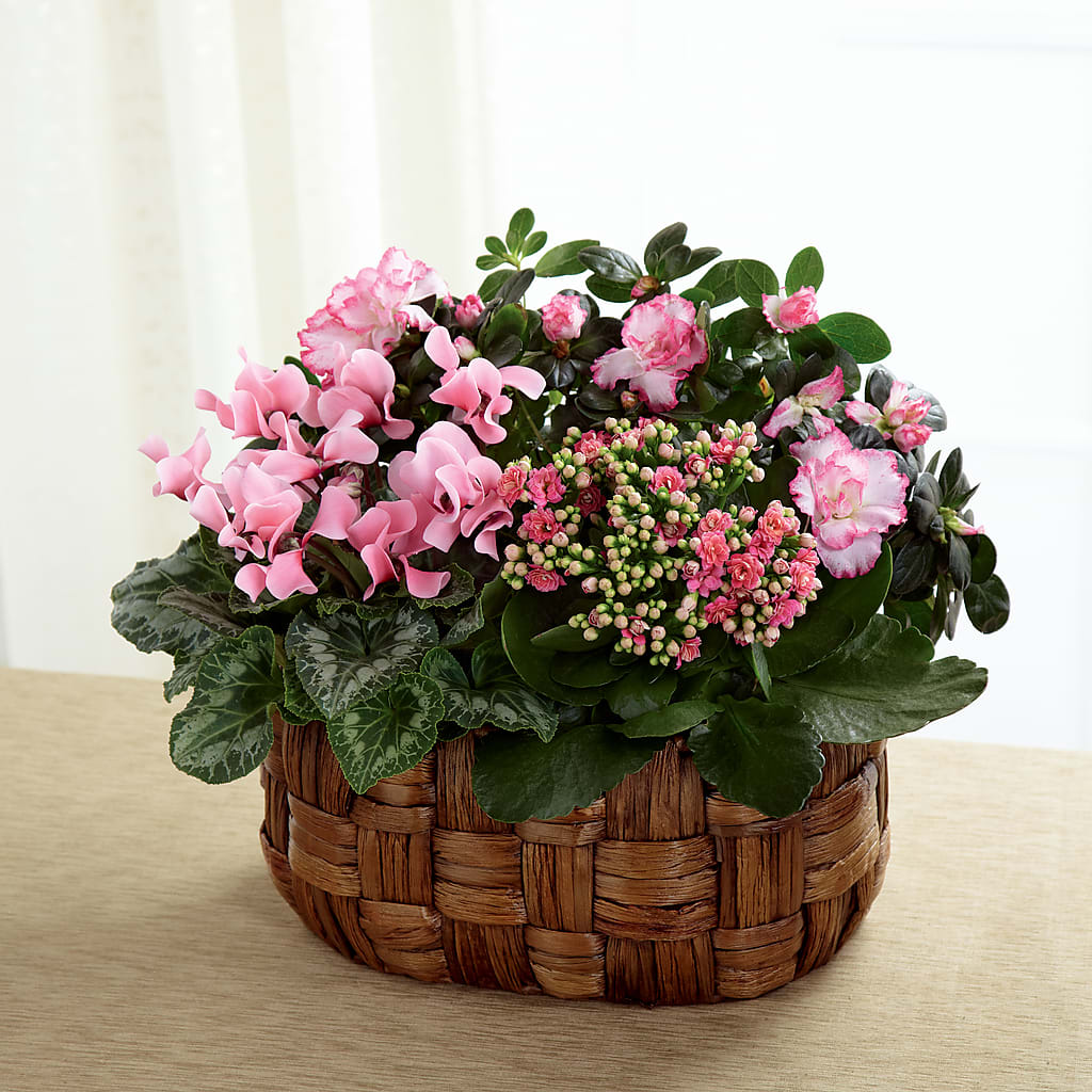 Pink Assortment – Grass Valley Florist, Grass Valley CA