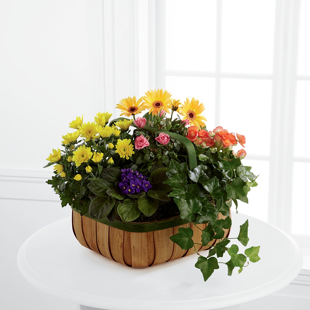 Gentle Blossoms Basket – Grass Valley Florist, Grass Valley CA