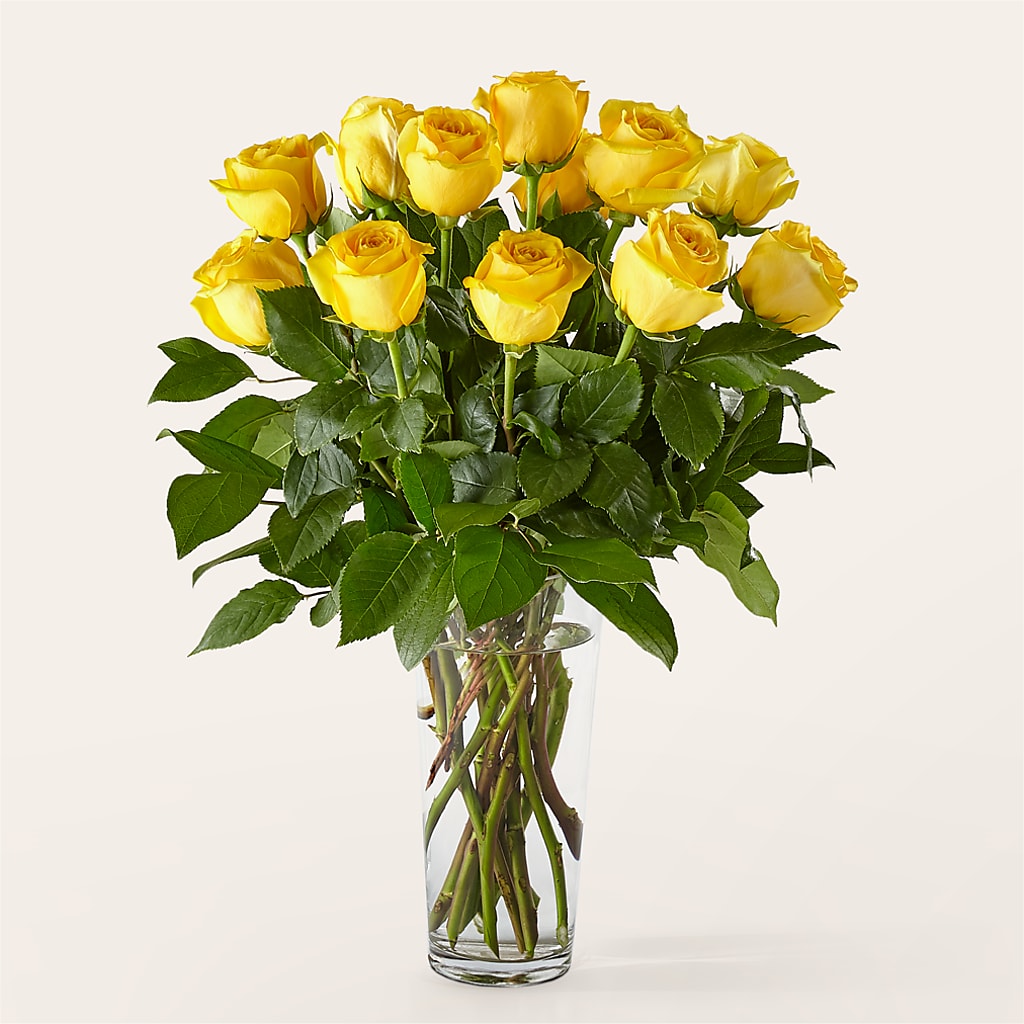 Long Stem Yellow Rose Bouquet – Grass Valley Florist, Grass Valley CA