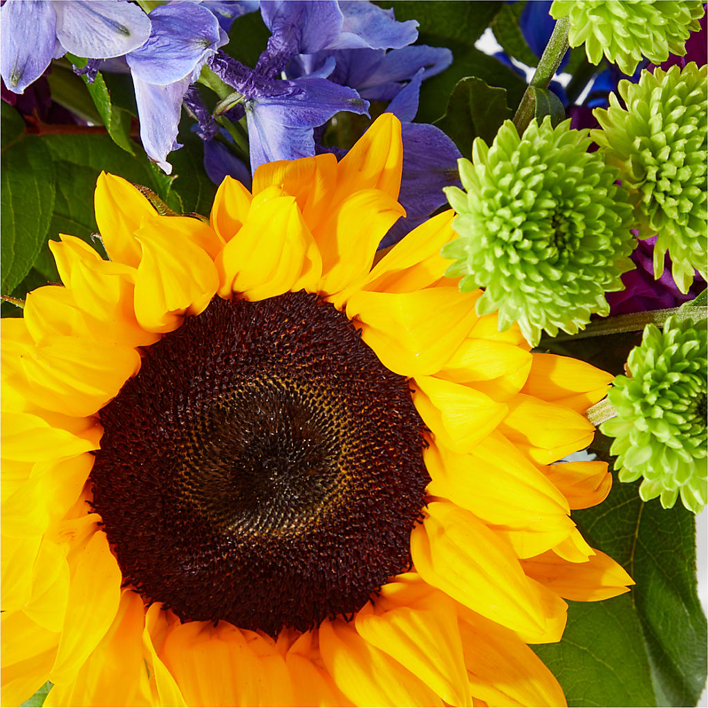 Catching Rays Bouquet – Grass Valley Florist, Grass Valley CA