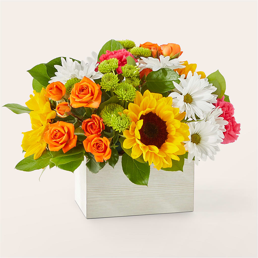 Sun-drenched Blooms Box Bouquet – Grass Valley Florist, Grass Valley CA