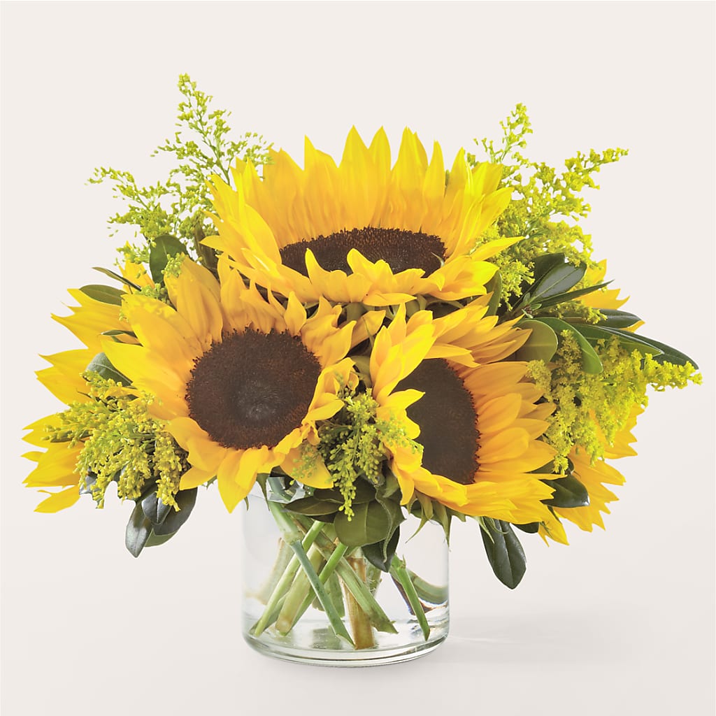 Beaming Sunflower Bouquet – Grass Valley Florist, Grass Valley CA