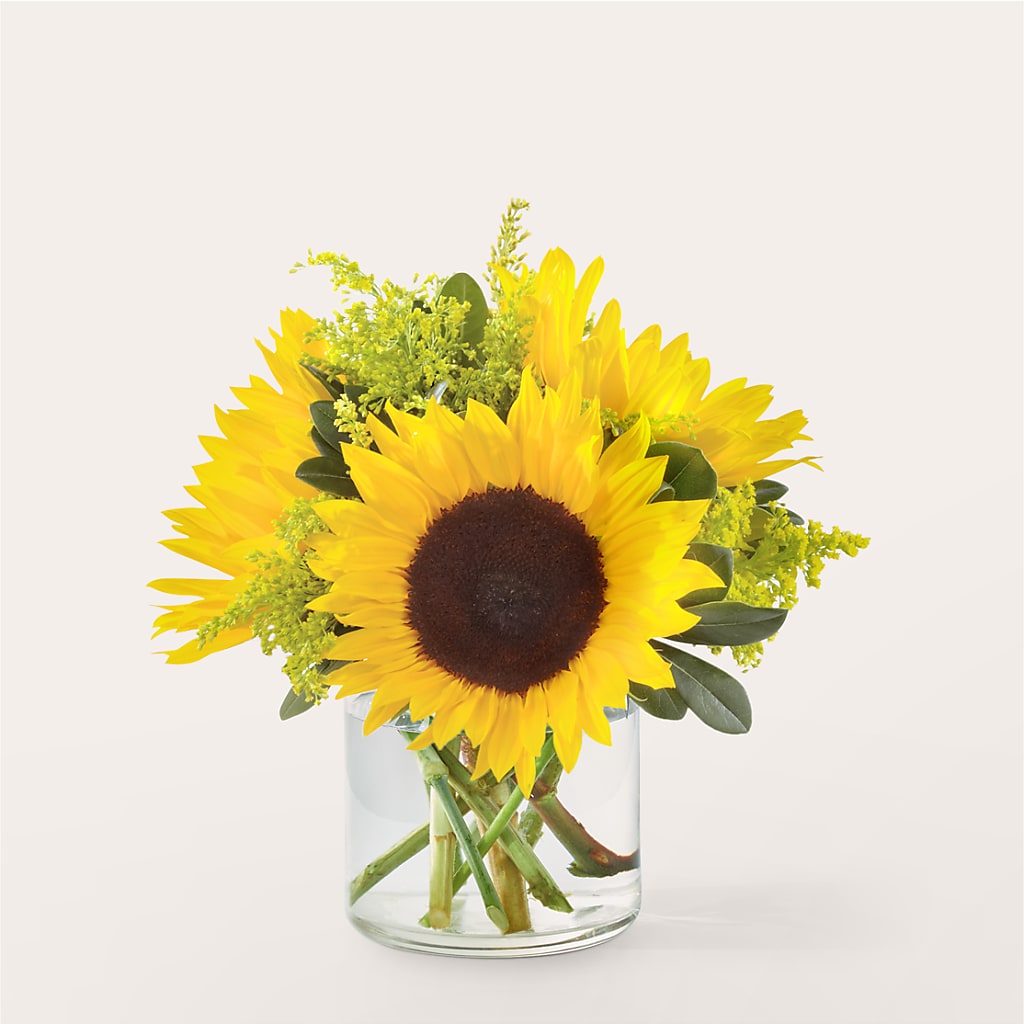 Beaming Sunflower Bouquet – Grass Valley Florist, Grass Valley CA