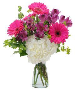 Too Cute – Grass Valley Florist, Grass Valley CA