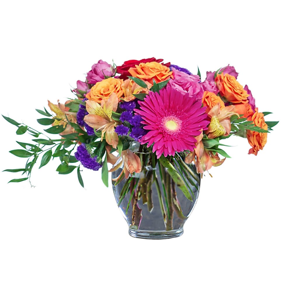 Daisy Parade – Grass Valley Florist, Grass Valley CA