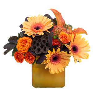 Cider – Grass Valley Florist, Grass Valley CA