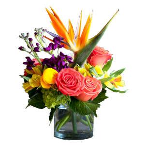 Paradise – Grass Valley Florist, Grass Valley CA