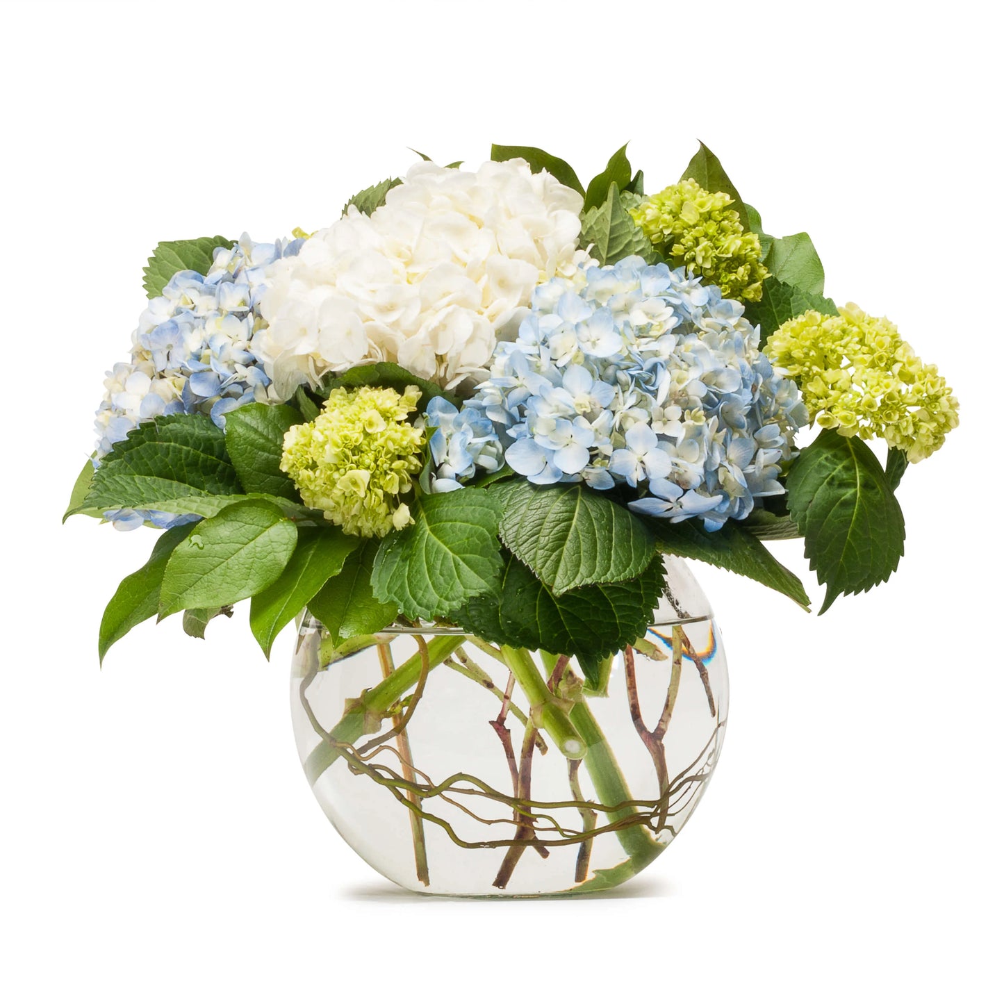 Mighty Hydrangea – Grass Valley Florist, Grass Valley CA