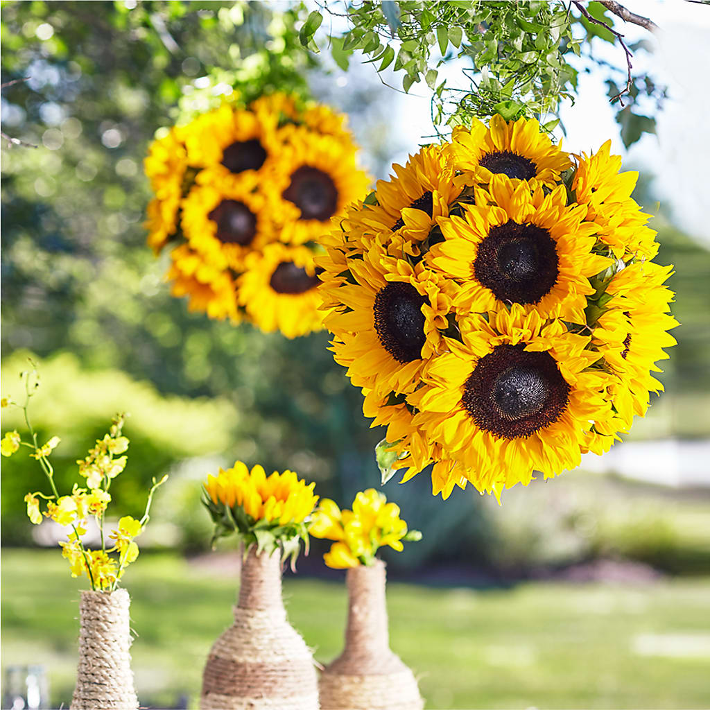 Sublime Garden Hanging Arrangement – Grass Valley Florist, Grass Valley CA