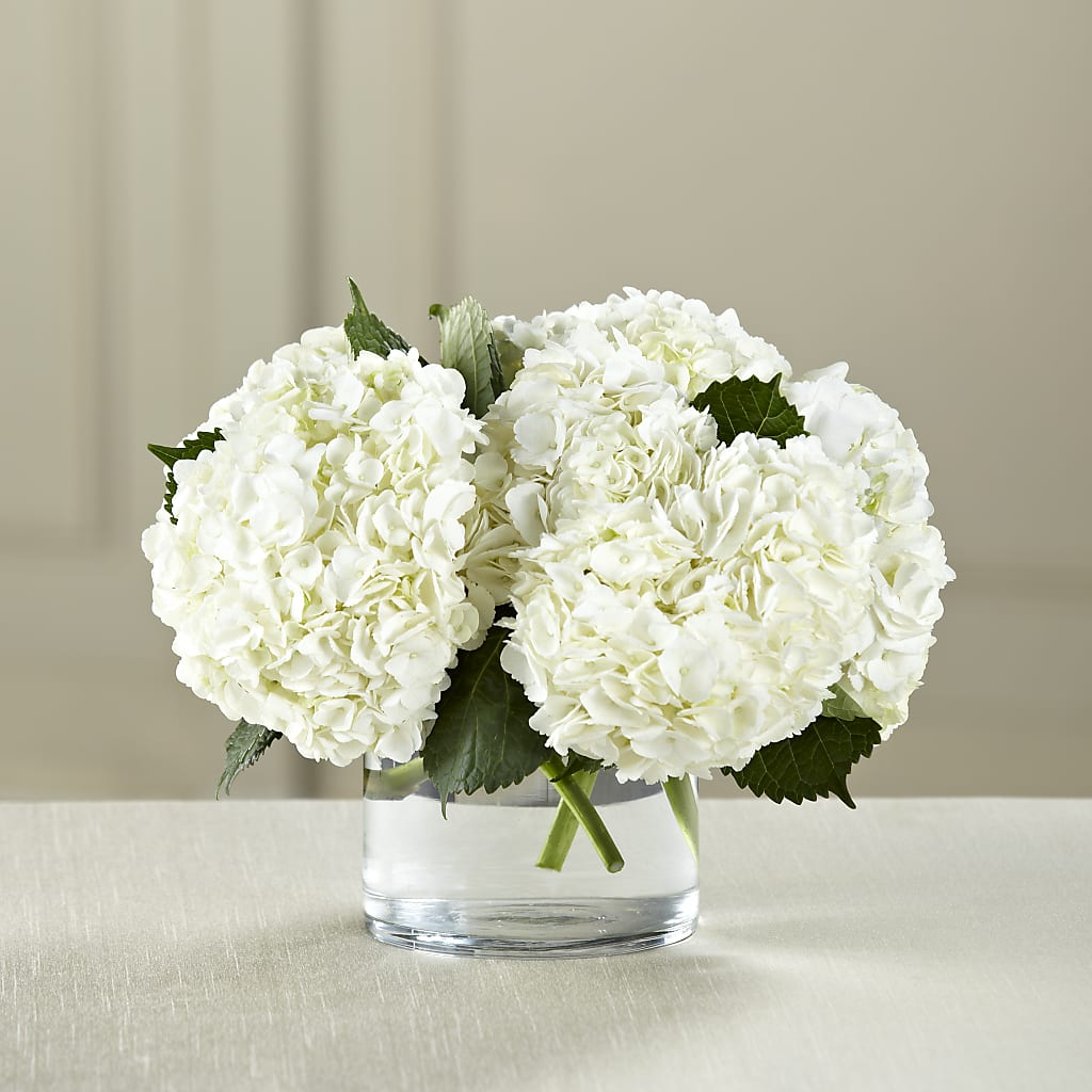 White Hydrangea Bouquet – Grass Valley Florist, Grass Valley CA