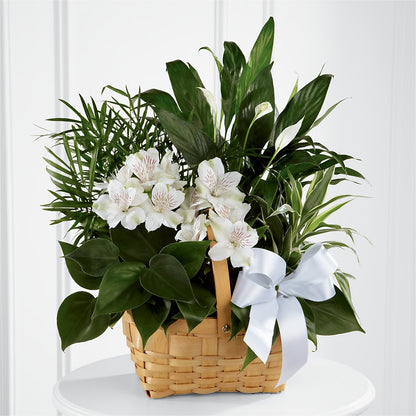 Peace & Serenity Dishgarden –  Grass Valley Florist, Grass Valley CA