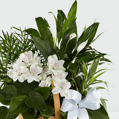 Peace & Serenity Dishgarden –  Grass Valley Florist, Grass Valley CA