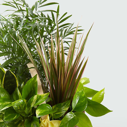 French Garden –  Grass Valley Florist, Grass Valley CA