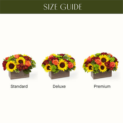 Happy Harvest Garden –  Grass Valley Florist, Grass Valley CA