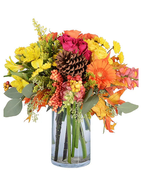 Sugar Maple –  Grass Valley Florist, Grass Valley CA