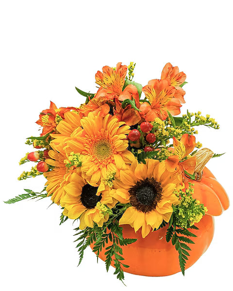 Pumpkin Daze –  Grass Valley Florist, Grass Valley CA