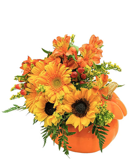 Pumpkin Daze –  Grass Valley Florist, Grass Valley CA