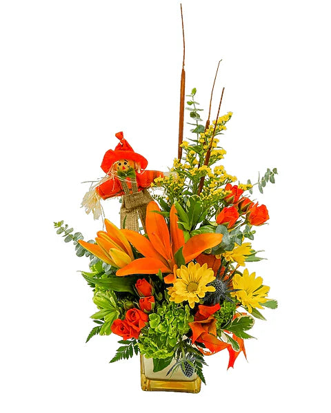 Scarecrow's Harvest –  Grass Valley Florist, Grass Valley CA