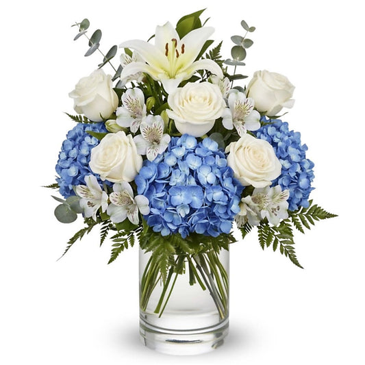 Heavenly Blue Blessing