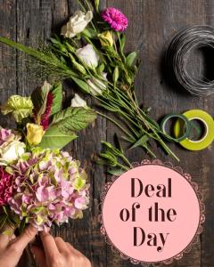 Deal of the Day Spring