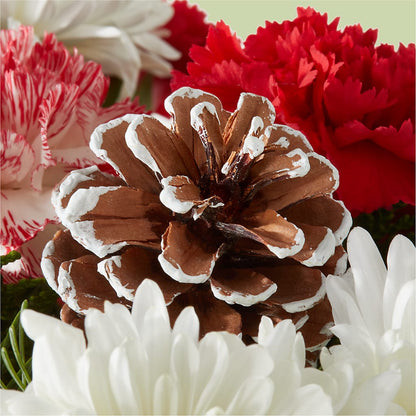 Candy Cane Lane Bouquet –  Grass Valley Florist, Grass Valley CA
