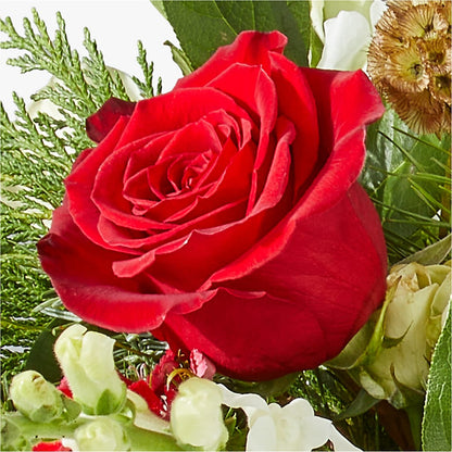 Deck the Halls Bouquet –  Grass Valley Florist, Grass Valley CA
