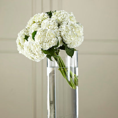 White Hydrangea Hand-Tied Bouquet –  Grass Valley Florist, Grass Valley CA