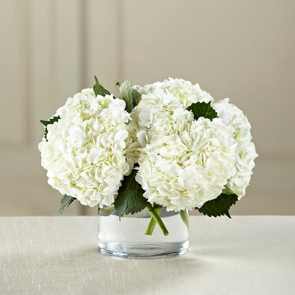 White Hydrangea Bouquet –  Grass Valley Florist, Grass Valley CA